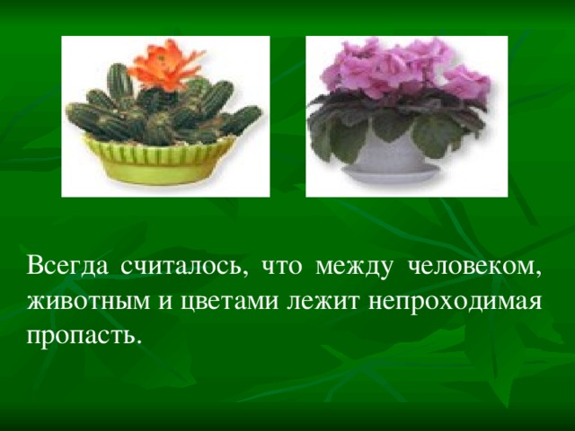 Всегда считалось, что между человеком, животным и цветами лежит непроходимая пропасть. 
