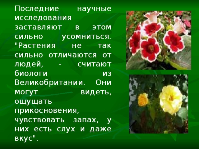 Последние научные исследования заставляют в этом сильно усомниться. 