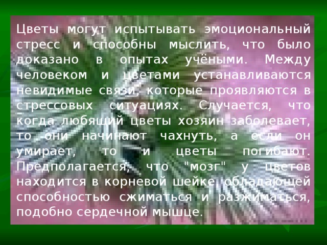Цветы могут испытывать эмоциональный стресс и способны мыслить, что было доказано в опытах учёными. Между человеком и цветами устанавливаются невидимые связи, которые проявляются в стрессовых ситуациях. Случается, что когда любящий цветы хозяин заболевает, то они начинают чахнуть, а если он умирает, то и цветы погибают. Предполагается, что 