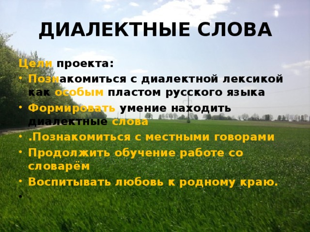 ДИАЛЕКТНЫЕ СЛОВА Цели проекта: Позн акомиться с диалектной лексикой как особым пластом русского языка Формировать умение находить диалектные слова .Познакомиться с местными говорами Продолжить обучение работе со словарём Воспитывать любовь к родному краю.    