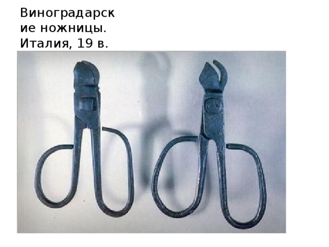 Виноградарские ножницы. Италия, 19 в. 