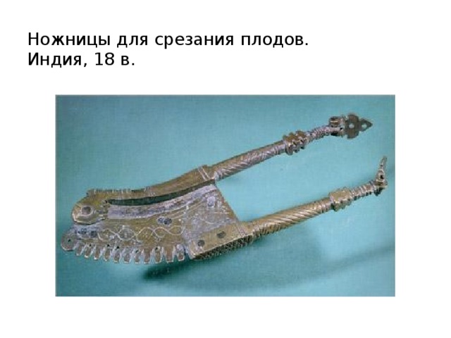  Ножницы для срезания плодов. Индия, 18 в. 
