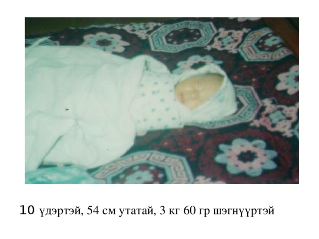 10 үдэртэй, 54 см утатай, 3 кг 60 гр шэгнүүртэй 