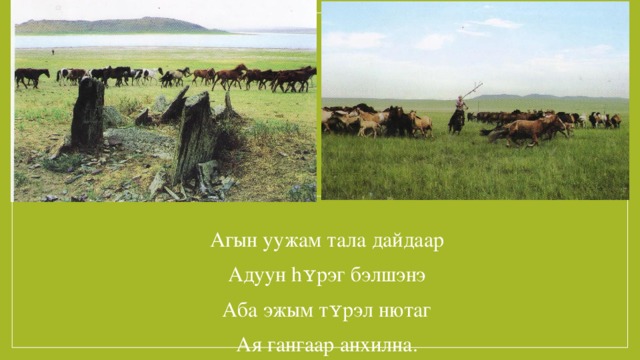 Агын уужам тала дайдаар Адуун hʏрэг бэлшэнэ Аба эжым тʏрэл нютаг Ая гангаар анхилна. 