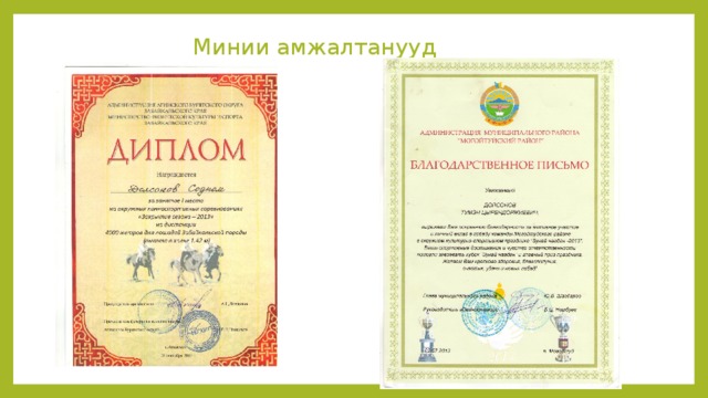 Минии амжалтанууд 