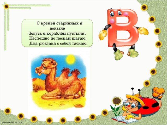  С времен старинных и доныне Зовусь я кораблём пустыни,  Неспешно по пескам шагаю,  Два рюкзака с собой таскаю. 