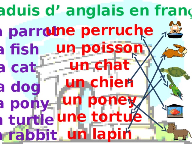 Traduis d’ anglais en fran çais une perruche un poisson un chat un chien un poney une tortue un lapin  a parrot a fish a cat a dog a pony a turtle a rabbit 