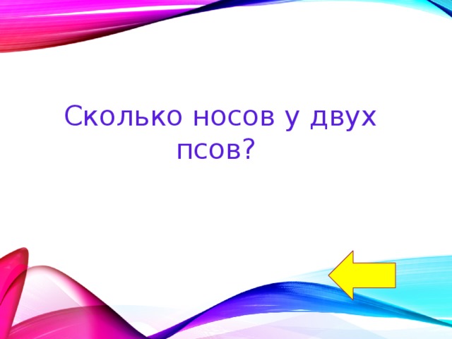 Сколько носов у двух псов? 
