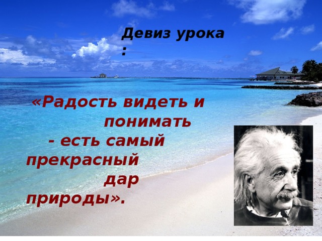  Девиз урока :  «Радость видеть и  понимать  - есть самый прекрасный  дар природы».   А.Эйнштейн  