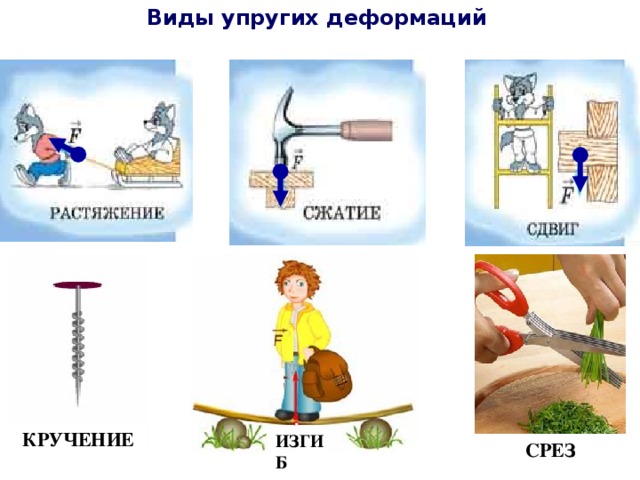 Виды упругих деформаций КРУЧЕНИЕ ИЗГИБ СРЕЗ 