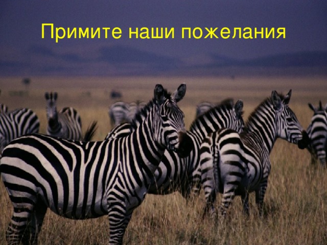 Примите наши пожелания 