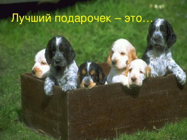 Лучший подарочек – это… 