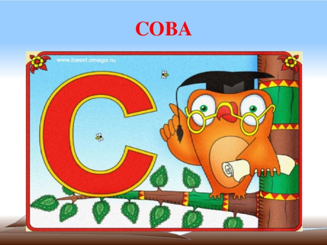 СОВА 