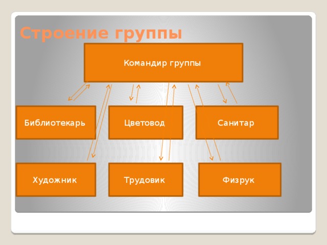 Строение группы Командир группы Санитар Цветовод Библиотекарь Художник Трудовик Физрук 