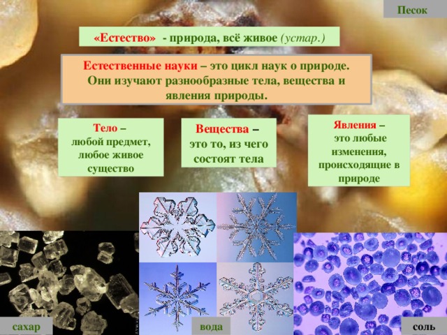Песок «Естество» - природа, всё живое  (устар.) Естественные науки – это цикл наук о природе. Они изучают разнообразные тела, вещества и явления природы. Явления –  это любые изменения, происходящие в природе Тело – Вещества – любой предмет, любое живое существо это то, из чего состоят тела вода соль сахар 
