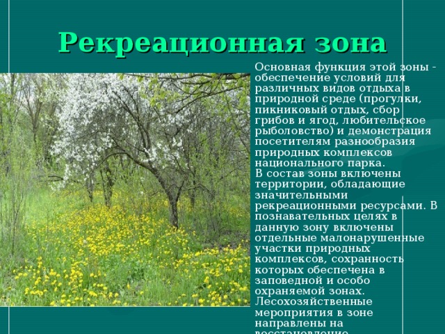 Рекреационная зона Основная функция этой зоны - обеспечение условий для различных видов отдыха в природной среде (прогулки, пикниковый отдых, сбор грибов и ягод, любительское рыболовство) и демонстрация посетителям разнообразия природных комплексов национального парка. В состав зоны включены территории, обладающие значительными рекреационными ресурсами. В познавательных целях в данную зону включены отдельные малонарушенные участки природных комплексов, сохранность которых обеспечена в заповедной и особо охраняемой зонах. Лесохозяйственные мероприятия в зоне направлены на восстановление деградирующих насаждений, повышение эстетической ценности и устойчивости насаждений к рекреационным воздействиям. 