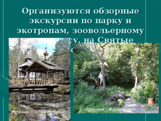Организуются обзорные экскурсии по парку и экотропам, зоовольерному комплексу, на Святые источники Источник «Журавлик» Источник «Святой колодец» 