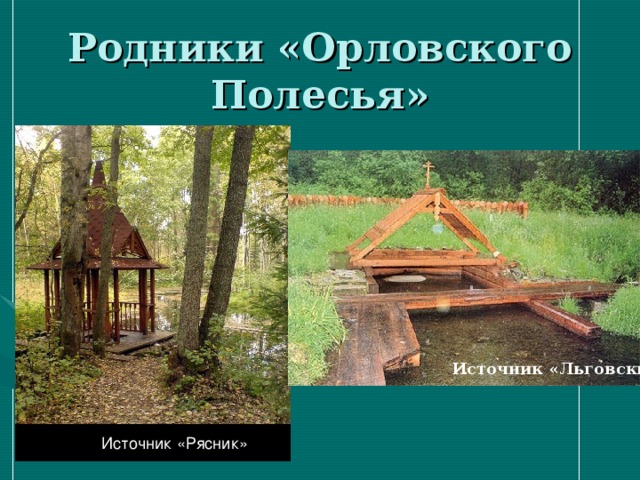 Родники «Орловского Полесья» Источник «Льговский» Источник «Рясник» 
