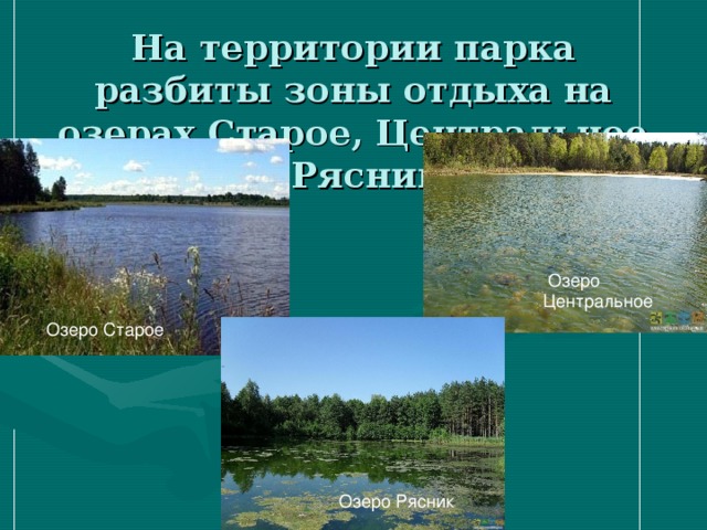 На территории парка разбиты зоны отдыха на озерах Старое, Центральное и Рясник.  Озеро Центральное Озеро Старое Озеро Рясник 