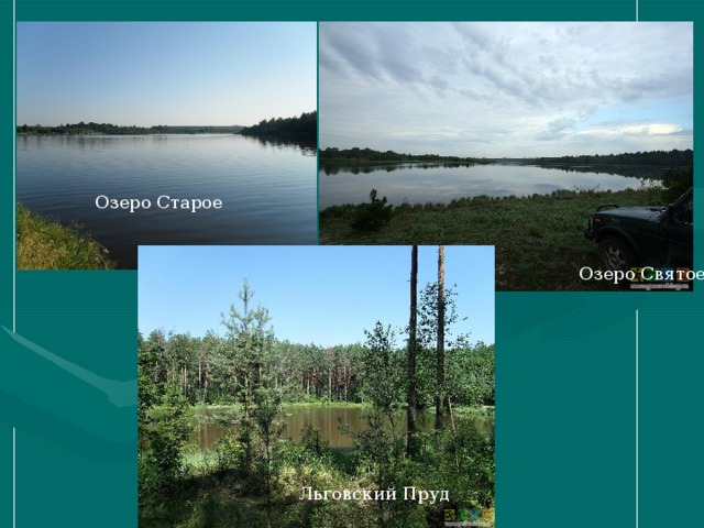 Озеро Старое Озеро Святое Льговский Пруд 
