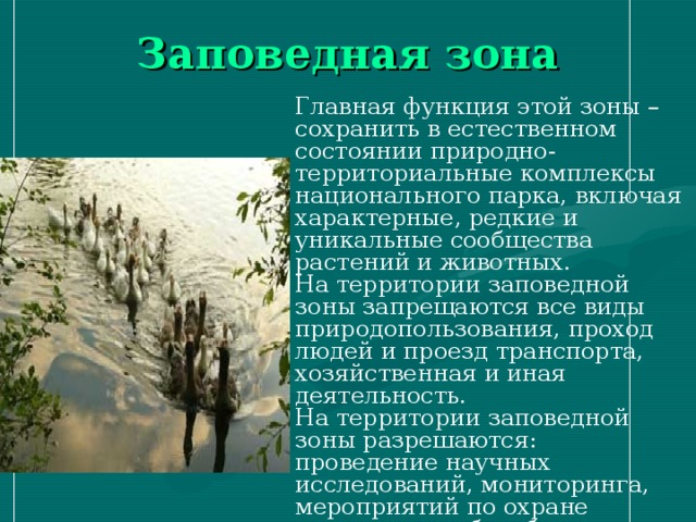 Заповедная зона Главная функция этой зоны – сохранить в естественном состоянии природно-территориальные комплексы национального парка, включая характерные, редкие и уникальные сообщества растений и животных. На территории заповедной зоны запрещаются все виды природопользования, проход людей и проезд транспорта, хозяйственная и иная деятельность. На территории заповедной зоны разрешаются: проведение научных исследований, мониторинга, мероприятий по охране территории и борьбе с лесными пожарами; работы по расчистке квартальных просек и установке квартальных столбов . 