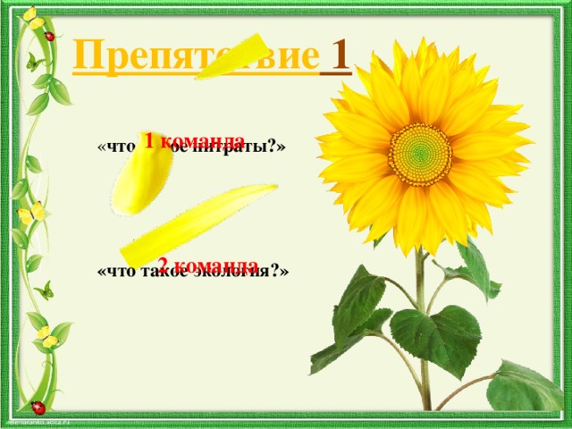 Препятствие 1 1 команда « что такое нитраты?» 2 команда «что такое экология?» 