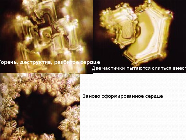 заново сформированное сердце Горечь, деструктив, разбитое сердце Две частички пытаются слиться вместе  Заново сформированное сердце 