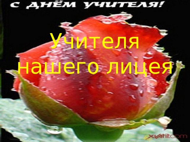 Учителя нашего лицея 