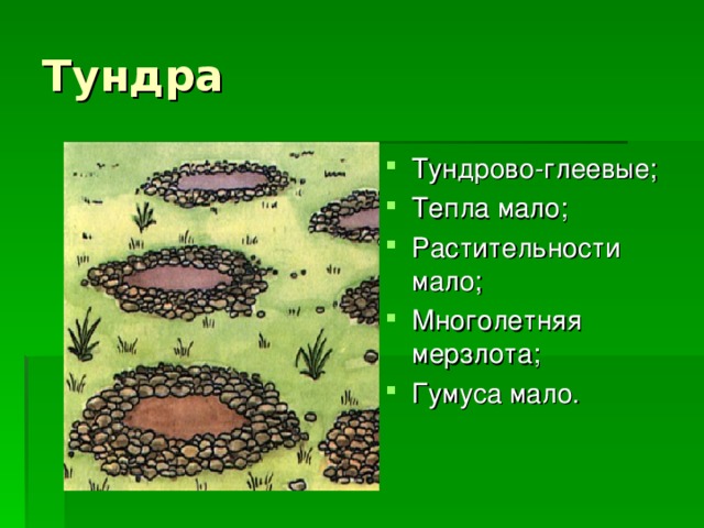 Тундра Тундрово-глеевые; Тепла мало; Растительности мало; Многолетняя мерзлота; Гумуса мало.  