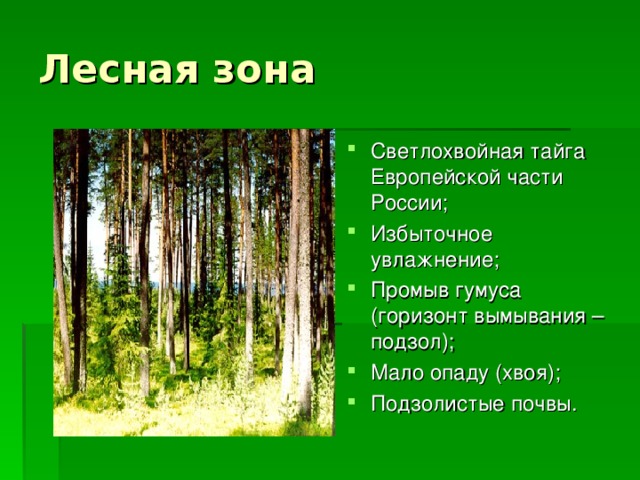 Лесная зона Светлохвойная тайга Европейской части России; Избыточное увлажнение; Промыв гумуса (горизонт вымывания –подзол); Мало опаду (хвоя); Подзолистые почвы.  
