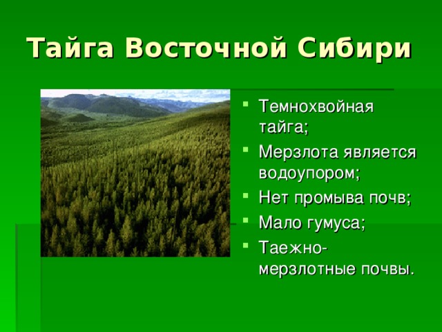 Тайга Восточной Сибири Темнохвойная тайга; Мерзлота является водоупором; Нет промыва почв; Мало гумуса; Таежно-мерзлотные почвы.   