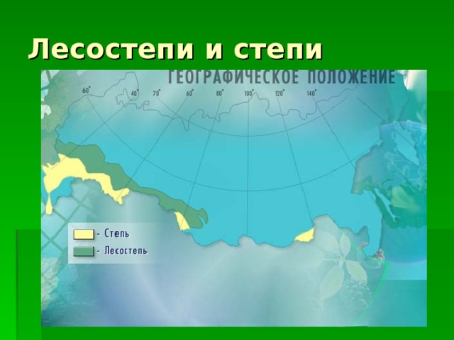 Лесостепи и степи  