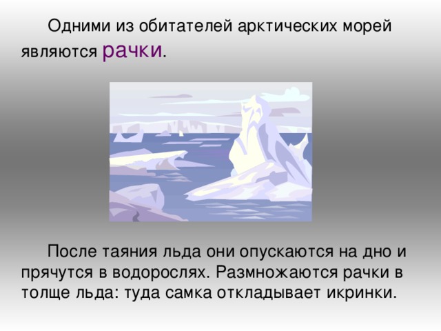  Одними из обитателей арктических морей являются рачки .  После таяния льда они опускаются на дно и прячутся в водорослях. Размножаются рачки в толще льда: туда самка откладывает икринки. 