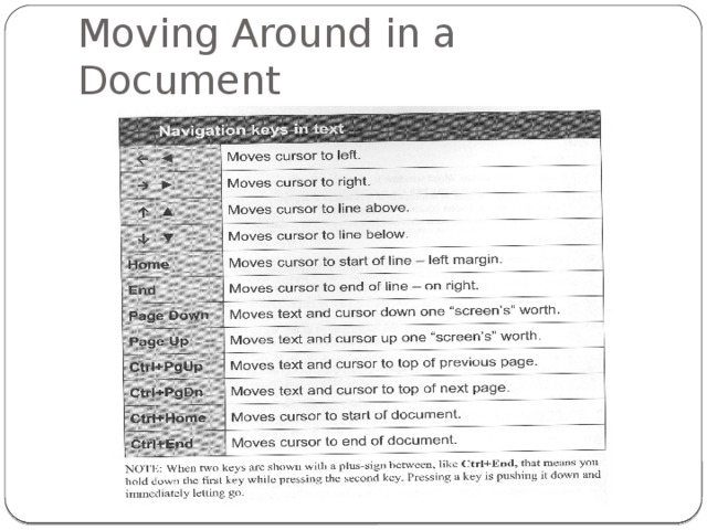 Moving Around in a Document 6 