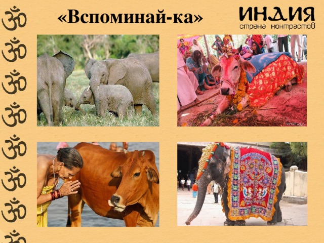 «Вспоминай-ка»