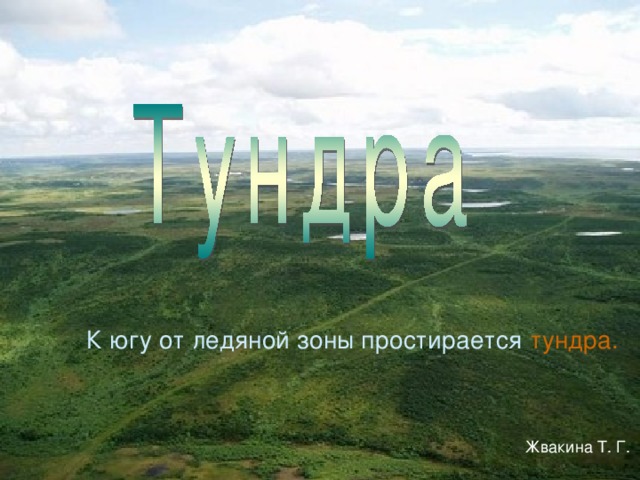  К югу от ледяной зоны простирается  тундра. Жвакина Т. Г. 
