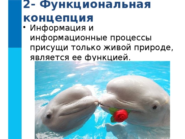 2- Функциональная концепция Информация и информационные процессы присущи только живой природе, является ее функцией. 