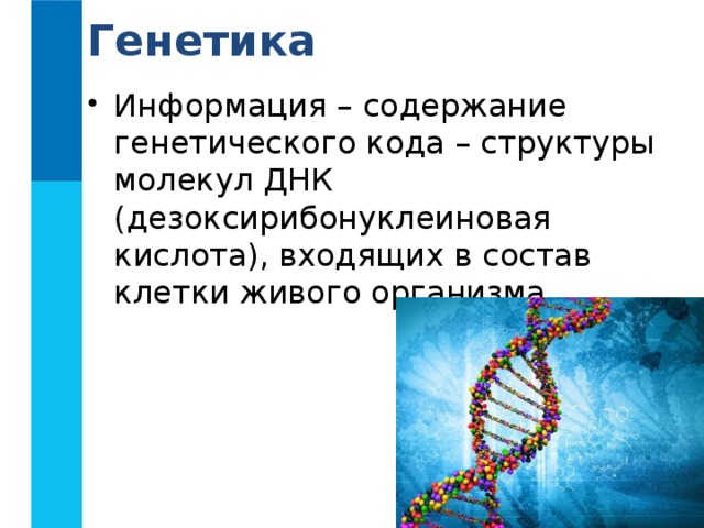 Генетика Информация – содержание генетического кода – структуры молекул ДНК (дезоксирибонуклеиновая кислота), входящих в состав клетки живого организма. 