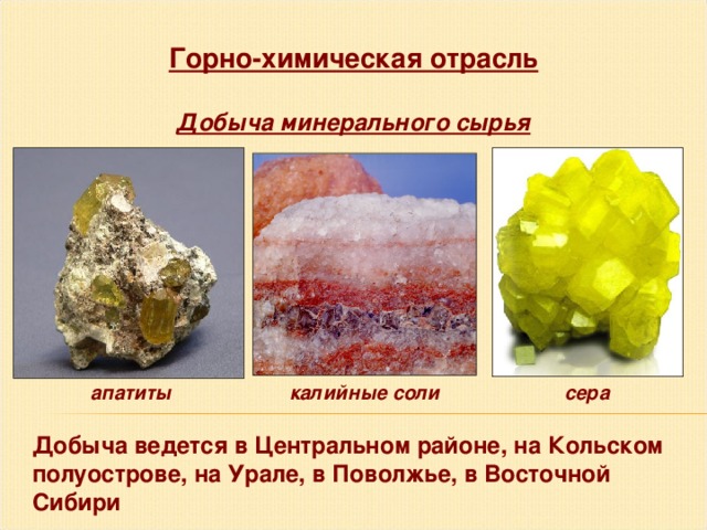 Горно-химическая отрасль Добыча минерального сырья апатиты калийные соли сера Добыча ведется в Центральном районе, на Кольском полуострове, на Урале, в Поволжье, в Восточной Сибири 