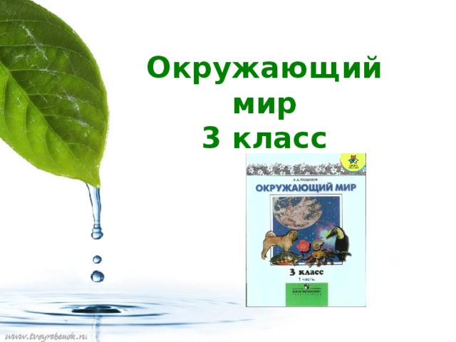 Окружающий мир  3 класс