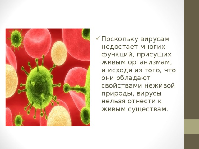 Поскольку вирусам недостает многих функций, присущих живым организмам, и исходя из того, что они обладают свойствами неживой природы, вирусы нельзя отнести к живым существам. 