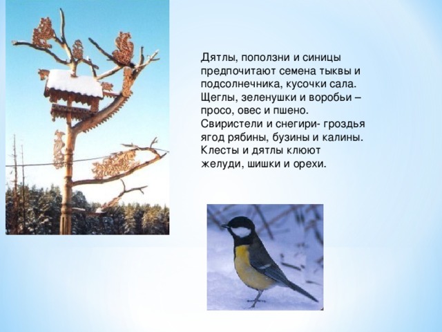 Дятлы, поползни и синицы предпочитают семена тыквы и подсолнечника, кусочки сала. Щеглы, зеленушки и воробьи – просо, овес и пшено. Свиристели и снегири- гроздья ягод рябины, бузины и калины. Клесты и дятлы клюют желуди, шишки и орехи. 
