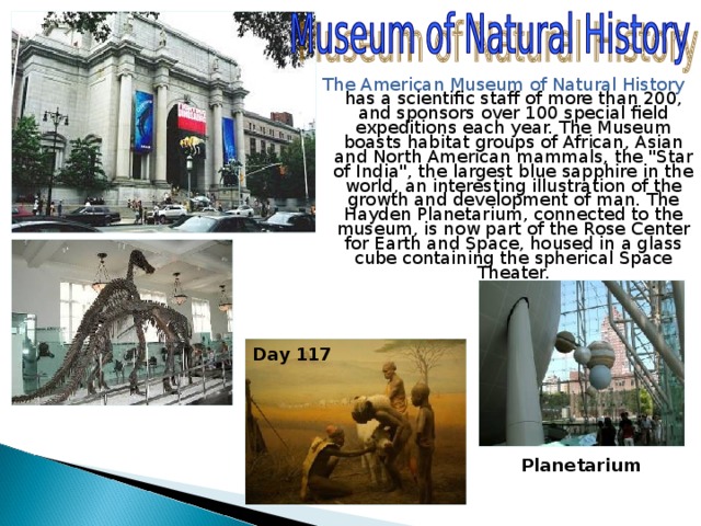 The American Museum of Natural History has a scientific staff of more than 200, and sponsors over 100 special field expeditions each year. The Museum boasts habitat groups of African, Asian and North American mammals, the 
