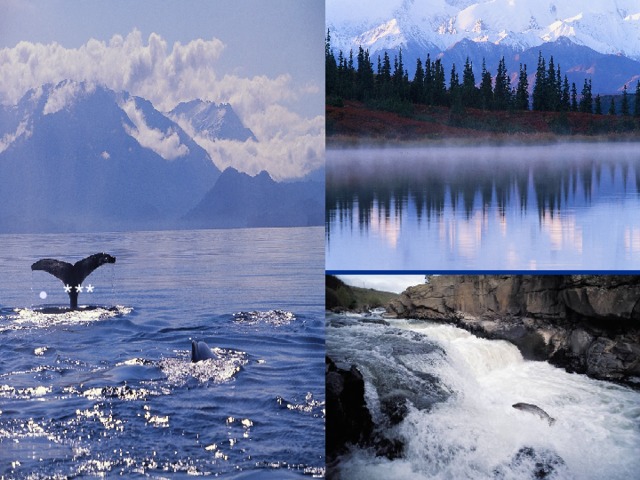 WHAT HAVE YOU LEARNED ABOUT ALASKA? *** 