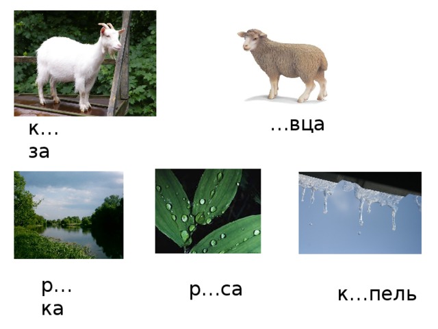   … вца к…за р…ка р…са к…пель 