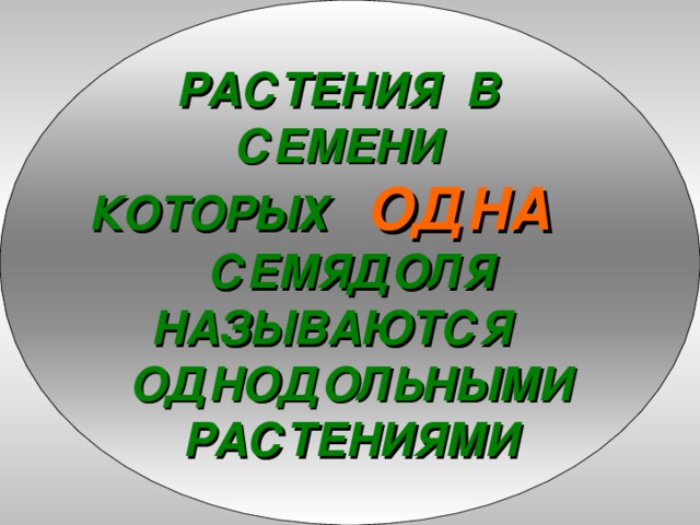РАСТЕНИЯ В СЕМЕНИ КОТОРЫХ ОДНА  СЕМЯДОЛЯ НАЗЫВАЮТСЯ ОДНОДОЛЬНЫМИ РАСТЕНИЯМИ 