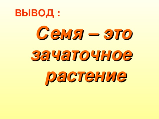 ВЫВОД : Семя – это зачаточное  растение 