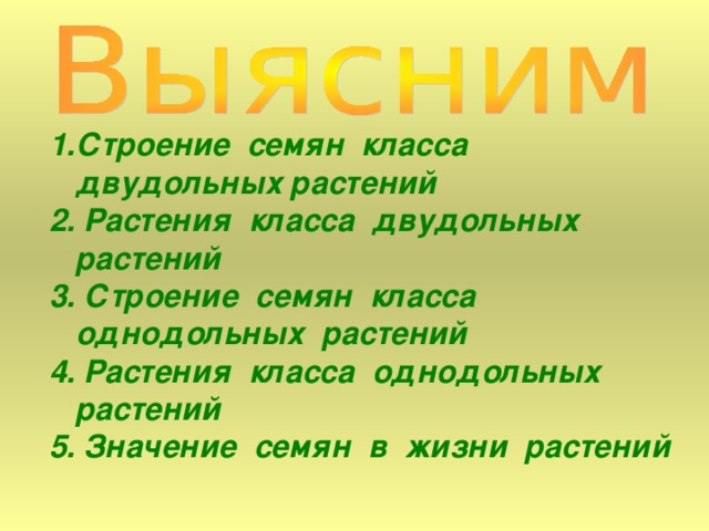 Строение семян класса двудольных растений 2. Растения класса двудольных растений  3. Строение семян класса однодольных растений 4. Растения класса однодольных растений 5. Значение семян в жизни растений   