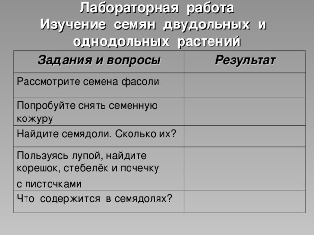 Лабораторная работа Изучение семян двудольных и однодольных растений Задания и вопросы Результат Рассмотрите семена фасоли Попробуйте снять семенную кожуру Найдите семядоли. Сколько их? Пользуясь лупой, найдите корешок, стебелёк и почечку с листочками Что содержится в семядолях? 