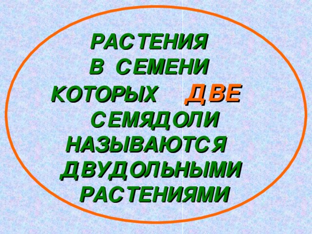 РАСТЕНИЯ В СЕМЕНИ КОТОРЫХ ДВЕ  СЕМЯДОЛИ НАЗЫВАЮТСЯ ДВУДОЛЬНЫМИ РАСТЕНИЯМИ 